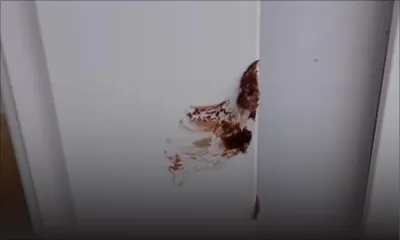 Rodrigues : un gâteau d’anniversaire dérobé en un éclair chez un conseiller 