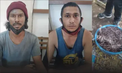 Deux hommes arrêtés pour vol de câbles électriques de l’Irrigation Authority 