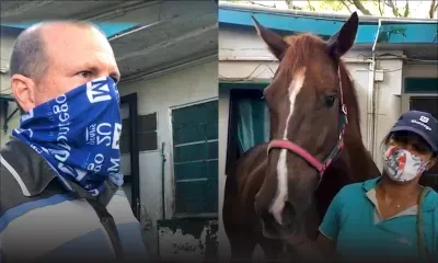 Hippisme - Reprise des galops rapides : La parole à Brinda Nandkishore et Jean Michel Henry