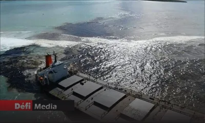 Marée noire : 10 000 équipements pour la protection individuelle et 200 mètres de barrage offerts par le Japon à Maurice