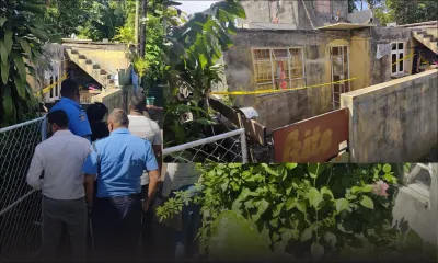 Soupçons de meurtre à Phoenix : les deux fils de la victime et une femme arrêtés