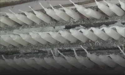 Dove Candles: 30 ans de fabrication de bougies