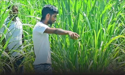 Le présumé meurtrier de Maria Christiana Chéry retourne sur les lieux du crime 