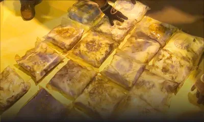 Saisie record de drogue : le principal suspect a quitté le pays