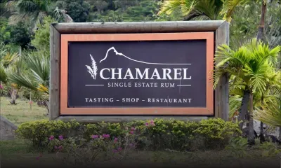Rhumerie de Chamarel : à la découverte du rhum agricole