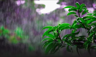 Météo : une veille de fortes pluies en vigueur à Maurice