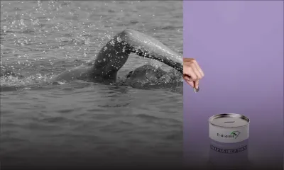 Diabète de type 1 : Ti Diams appelle à votre générosité