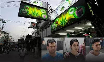 Zamal réunionnais en sursis : le cannabis thai fait un tabac auprès des trafiquants mauriciens 