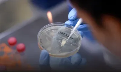 Covid-19 : Londres accuse des hackers russes de vouloir voler des recherches sur un vaccin