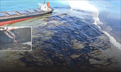 [En images] Wakashio : une catastrophe écologique se profile à l'horizon 