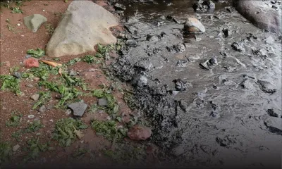 [En images] Après Mahébourg Waterfront, la fuite d’huile atteint Rivière-des-Créoles