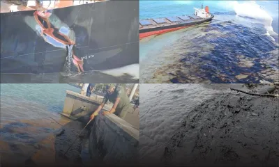 [En images] Fuite d'huile du Wakashio : un bien triste 6 août