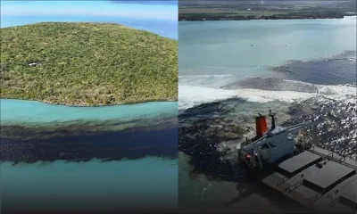 Fuite d'huile du Wakashio : triste spectacle autour de l'Ile aux Aigrettes
