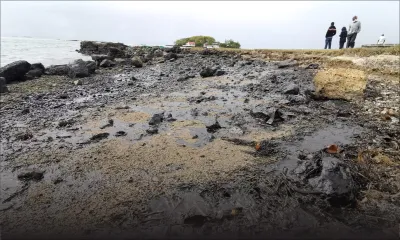 [En images] Catastrophe écologique : scènes de désolation au Mahébourg Waterfront   