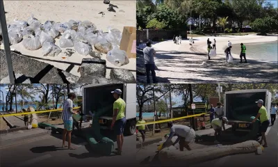 Blue-Bay : volontaires et autorités s’activent pour stopper la progression du mazout 
