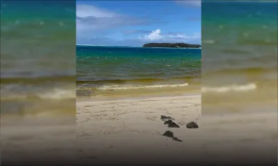 Des micro-algues observées dans le lagon de Blue-Bay