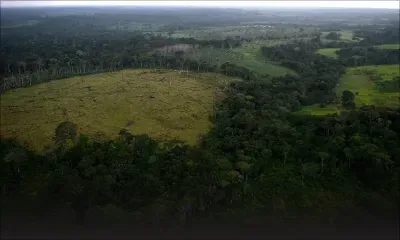 Les deux-tiers de la faune sauvage ont disparu en moins de 50 ans, selon le WWF