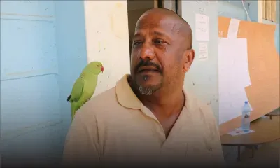 Élections villageoises 2020 :  jamais sans son perroquet 