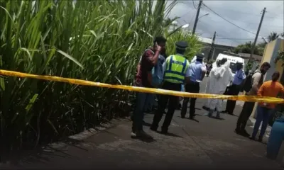 Saint-Julien-d'Hotman : il avoue avoir tué et enterré un homme dans un champ de cannes