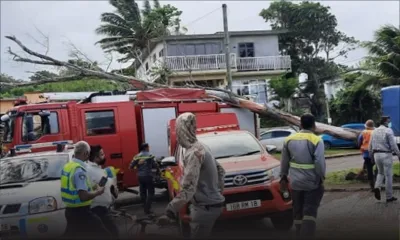 Baie-du-Cap : un arbre tombe sur un camion de pompiers