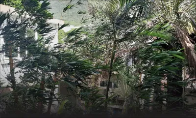 Météo : des rafales de 83 km/h à Port-Louis