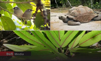 Écotourisme : les sites de la MWF rouvrent 