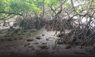 Premier anniversaire du naufrage du MV Wakashio : «Plus de 2 600 tonnes de déchets dangereux ont été enlevés en un temps record de quatre mois», dit Polyeco 