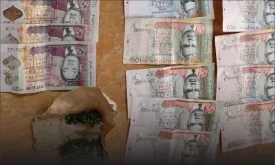 Le chauffeur de van «marron» arrêté pour trafic de cannabis 