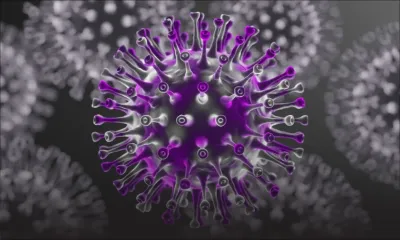 Covid-19 : le nouveau variant C.1.2 inquiète la communauté scientifique