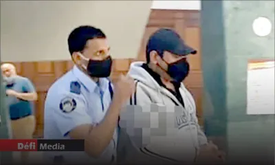 Un homme attaqué par deux rottweilers : le maître des molosses reste en détention