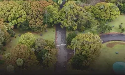 Curepipe : le jardin botanique accessible à pied uniquement