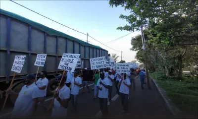 Des planteurs manifestent à La Marie