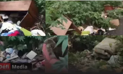 Pollution : une partie de Blue Lane, Rose-Hill, transformée en décharge illégale