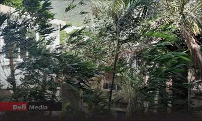 Cyclone Batsirai : Montagne-des-Signaux a enregistré jusqu’ici les plus fortes rafales