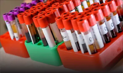 Mort subite du coursier G I Joe : une substance illicite détectée dans son sang