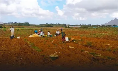 Sècheresse : hausse des prix des légumes de 35 %, selon Kreepaloo Sunghoon