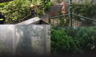 Alerte cyclonique 3 : des scènes capturées par des internautes