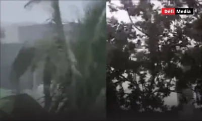 Le cyclone Freddy sous l’œil des internautes