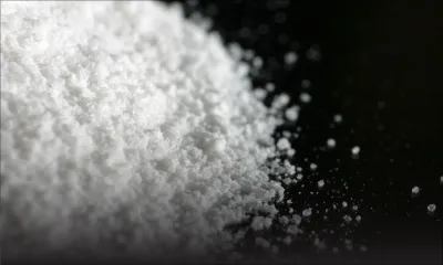 Un réseau de trafic de cocaïne démantelé : quatre suspects dont deux femmes devant la justice