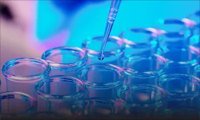 Meurtre de Georgie Begué : le rapport d'ADN confirme l'identité de la victime