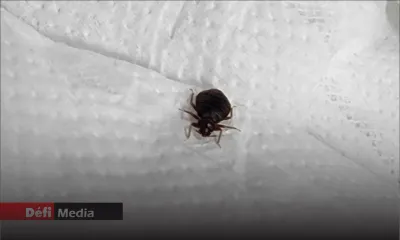 Rapport d’audit interne de la Santé : draps et oreillers sales, des insectes et parasites sur des lits…