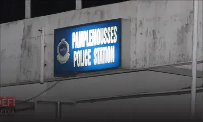 À Pamplemousses : un récidiviste arrêté avec plus de 400 graines de cannabis 