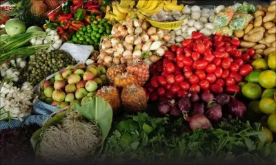 Sécurité alimentaire : des pistes à explorer pour atteindre l’autosuffisance