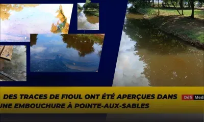 Pointe-aux-Sables : découverte de traces de fioul dans une embouchure
