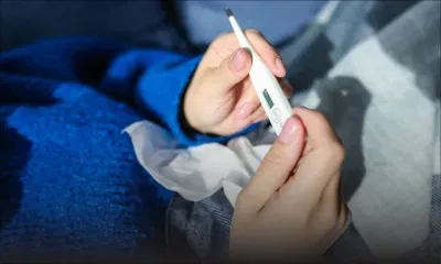 Grippe aviaire : la situation devient « alarmante » en Asie-Pacifique, prévient une agence de l'ONU