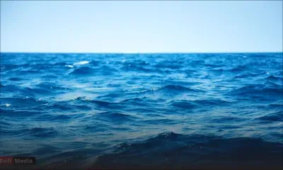 Pointe-aux-Piments : présence d'un requin dans le lagon, la police appelle à la prudence