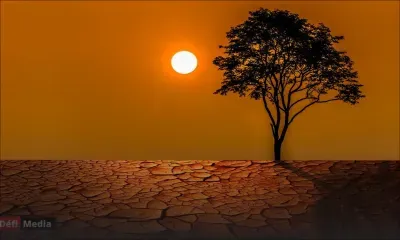 Climat : 2024 sera bien la première année au-dessus du seuil de 1,5°C de réchauffement