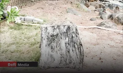 Pas géométriques : près de Rs 1,8 Md de loyers impayés 