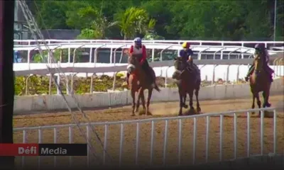Centre équestre de Petit-Gamin : Global Equestrian Ltd retire sa demande de renouvellement de permis et met fin à ses activités