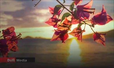Prévisions météo pour ce jeudi